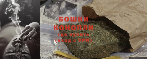 сатива Касимов