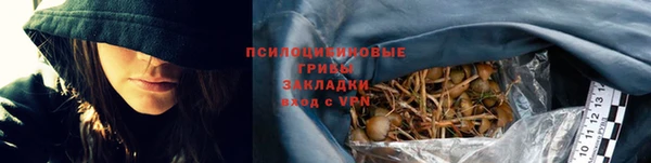 сатива Карталы