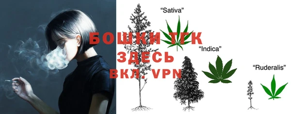 крисы Карпинск