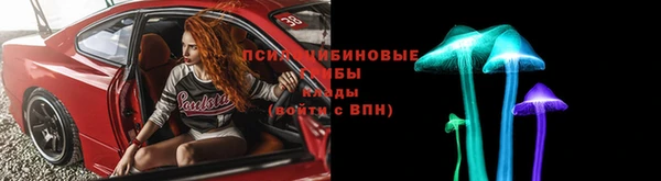 сатива Касимов